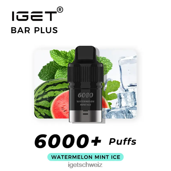 Nikotinfreier IGET online Bar Plus Pod, 6000 Züge JNJRFD381 Wassermelonen-Minz-Eis